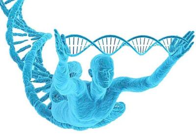 赴美試管嬰兒實現“龍鳳胎”的定制化方案與基因檢測