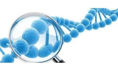 雙十一消費級基因檢測銷量創新高，基因檢測正走入尋常百姓家